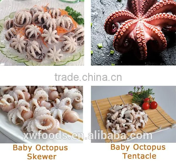china seafood IQF sushi food seasoned baby octopus manufacture