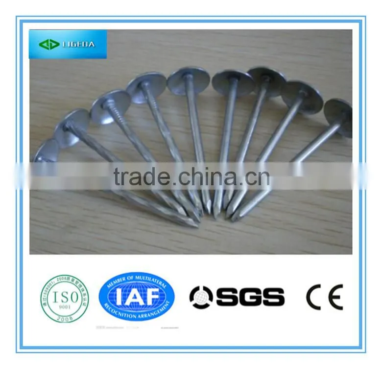 Hot sale Roofing nails/umbrella head nails
