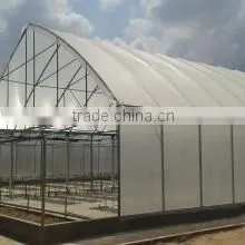 Greenworld Company Limited company overview - view 3