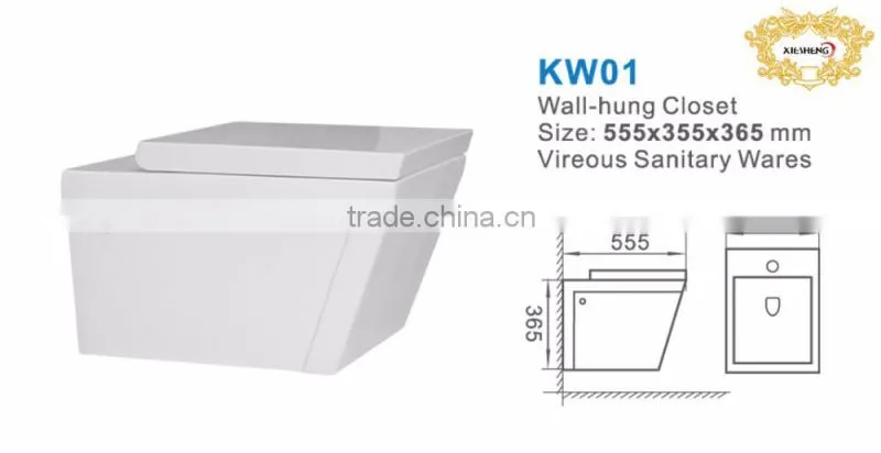 Eruopean Square Wall Mounted Toilet Washdown WC Wall Hung Toilet Bowl