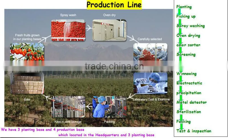 2015 new harvest dried goji berry for regulating Blood Fat