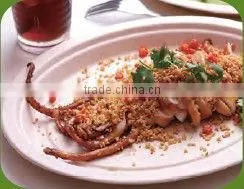 tableware Disposable biodegradable eco-friendly bagasse Plate