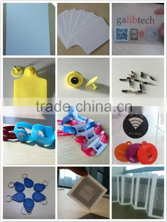RFID glass tube animal tags