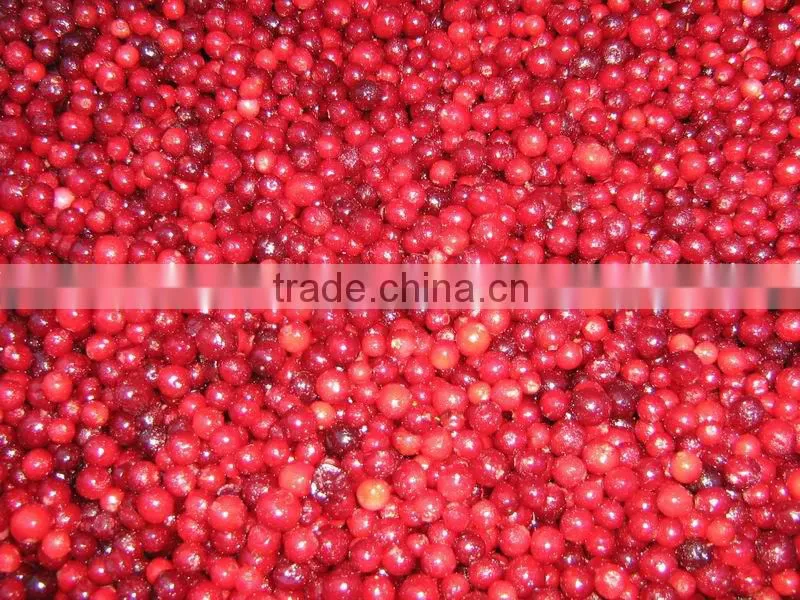 IQF Frozen Lingonberry Fruits