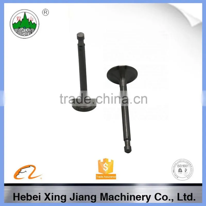 N180 diesel engine valve ,engine valves