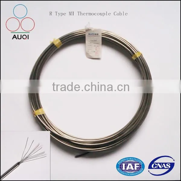 B Type High Pt100 Temperature Sensor Cable for Probe for Industry