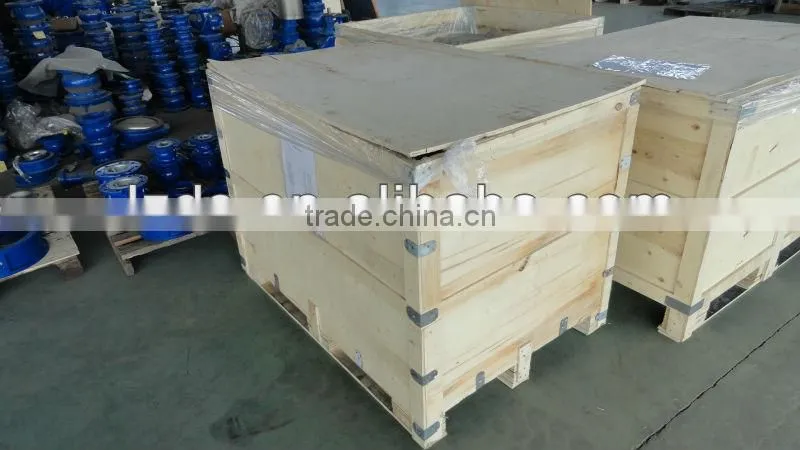 Cast Iron Dual Plate Wafer Check Valve
