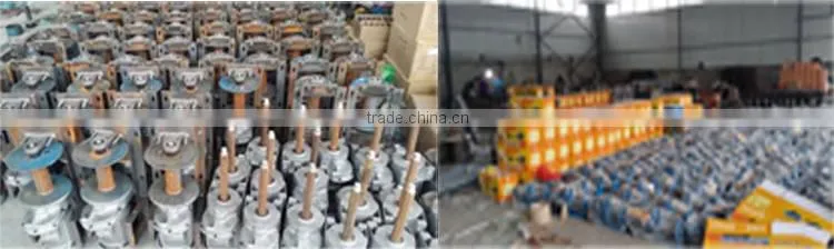 Top Grade Professional ISO 9001 Electric Hoist Rental