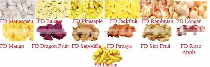 Dry Fruit powder Export to US : Vacuum Freeze Dried Red Dragon fruit powder from Thailand