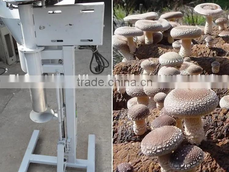 Growing mushrooms bag / edible fungus sack filling / fungus packing machine