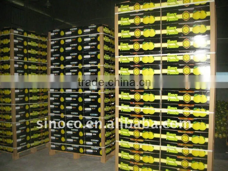 Shaddock Pomelo in China