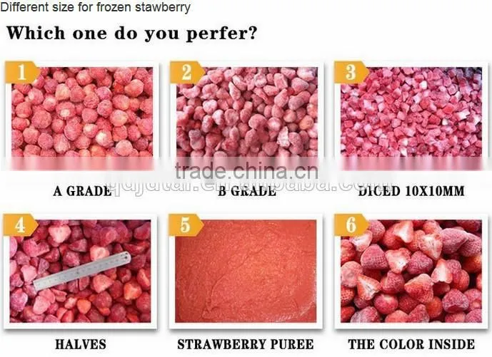 BQF Frozen Strawberry