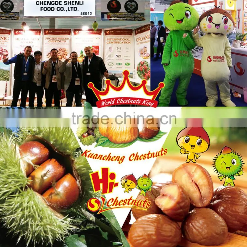 New Crop Fresh Chinese Chestnut Bulk Hebei Chestnuts for Sale