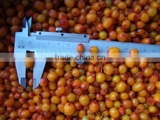 Frozen sea buckthorn juice raw-material for sale