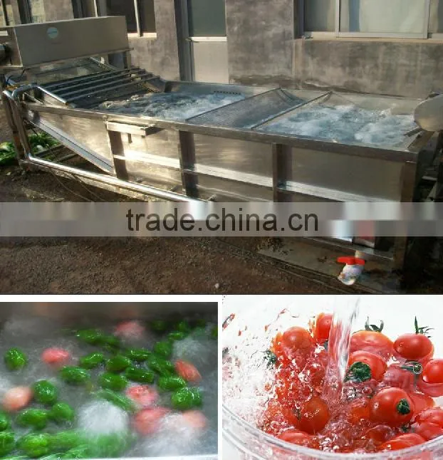 Brush vegetable washing machine /Automatic vegetable washing machine