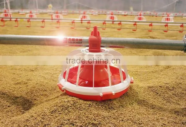 poultry farm feeding equipment