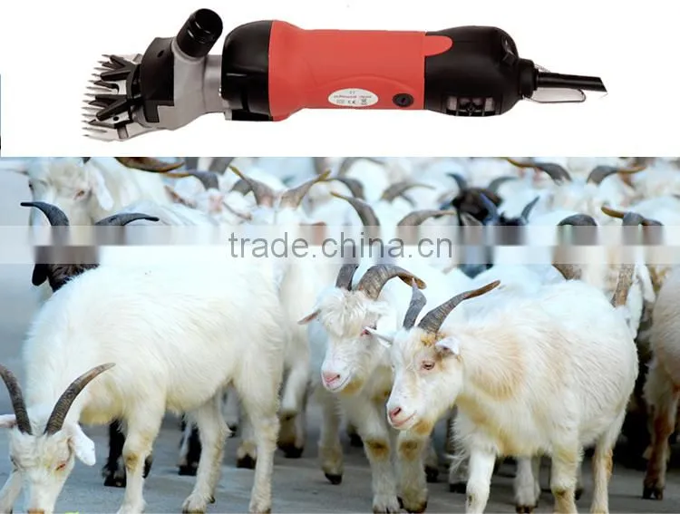 Blade protector available alibaba professional sheep clipper