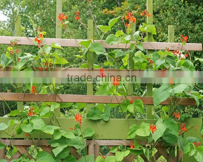 Plastic Vegetable Climbing Plant Support Mesh