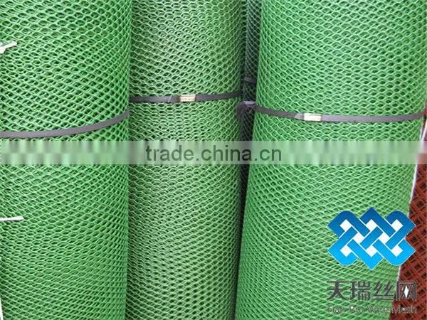 Plastic net