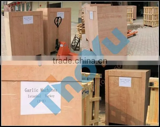 stainless steel automatic garlic peeling machine in alibaba SMS:0086-15238398301