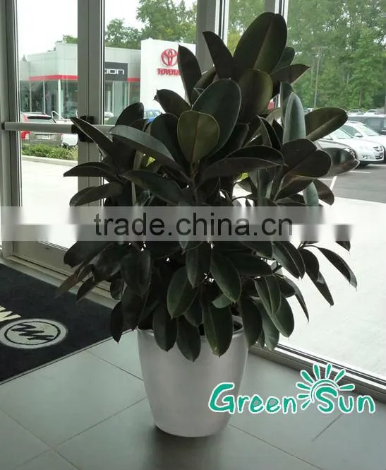 flowers pot online