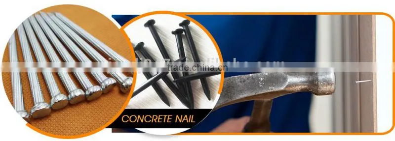 Common round wire nail, polish common nail making machine(factory)