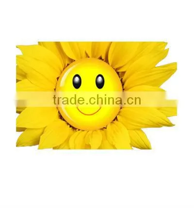 17 inch Bus Stop Advertising Screen (HQ170-4B)