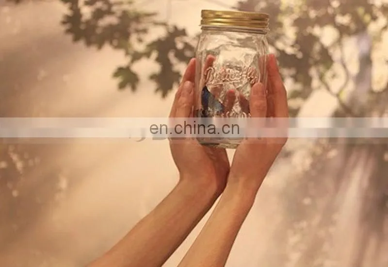 Factory Direct Sell Popular Attractive Butterfly Glass Jars