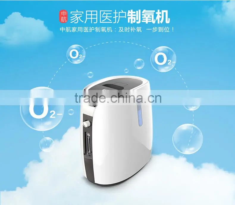 oxygen generator 2L
