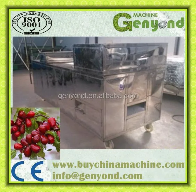 Olives Nuclear and Seed Remove Machine / Olives Pitting and Pitter Machine / Olives Stone Extractor