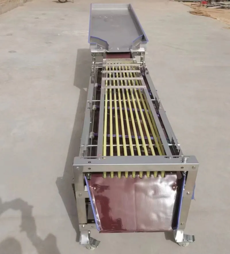 Green Lime Fruit Sorting Grading Machine Sorter Grader Machine Line Classifying Machines