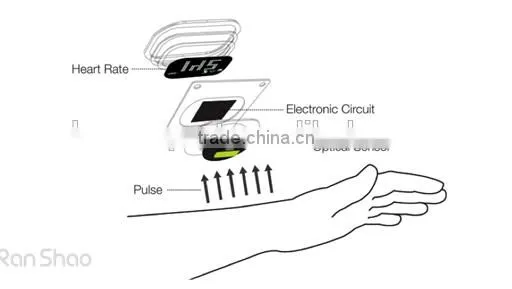 Optical heart rate wirstband heart rate monitor watch