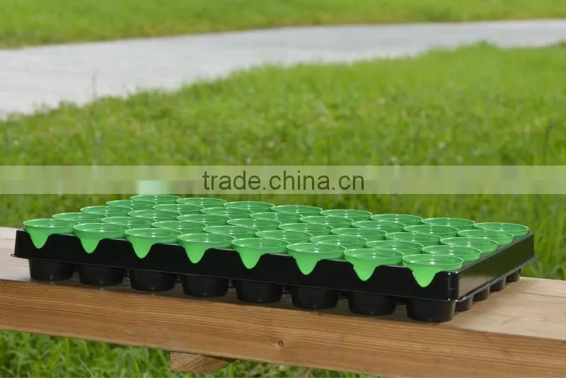 plastic tray with mini pot