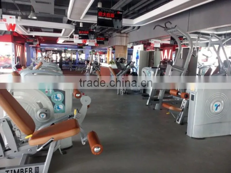 Tianzhan fitness equipment/Strength gym machine TZ-5013