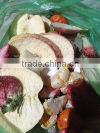 vacuum freeze dryer for food