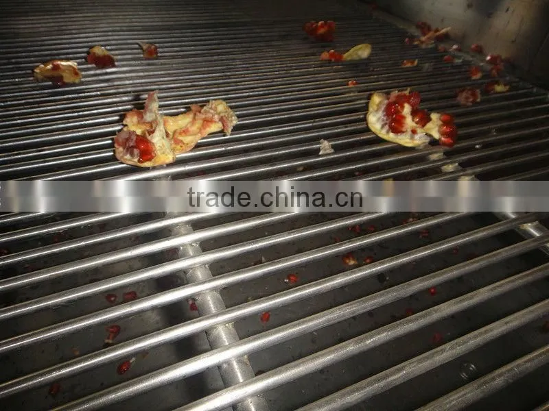 Pomegranate arils processing machine