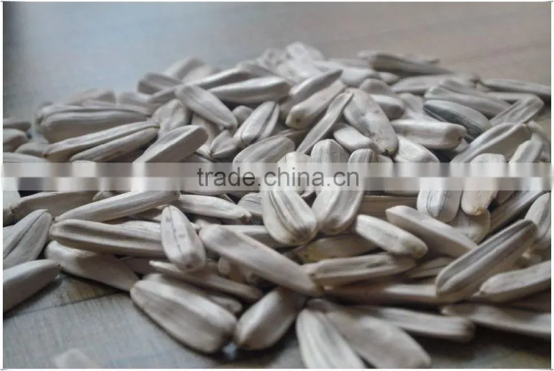Chinese White Sunflower Seed In Shell For Sell At The Best Price!