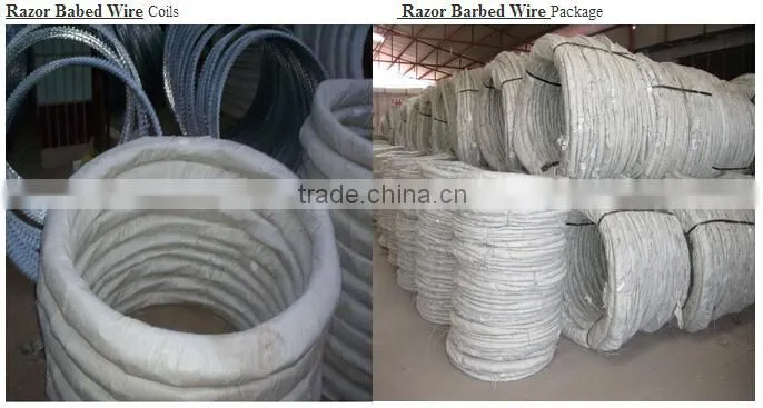 Electro-galvanized razor wire/razor barbed wire mesh fence with surprise price