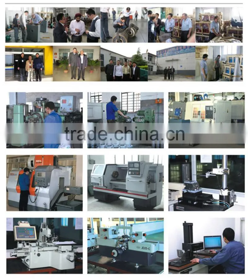 Screw conveyor motorized pulley oil immersed type