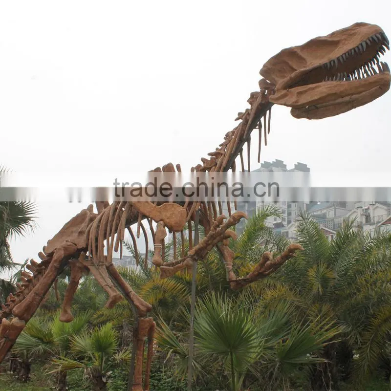 HLT On Exhibit Dinosaur Footprints Fossils Of Dinosaur