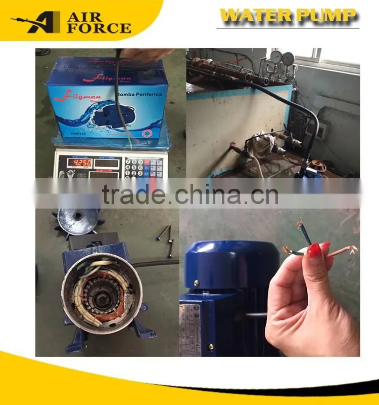 AF SDWP250 Home Use Garden Water Pump