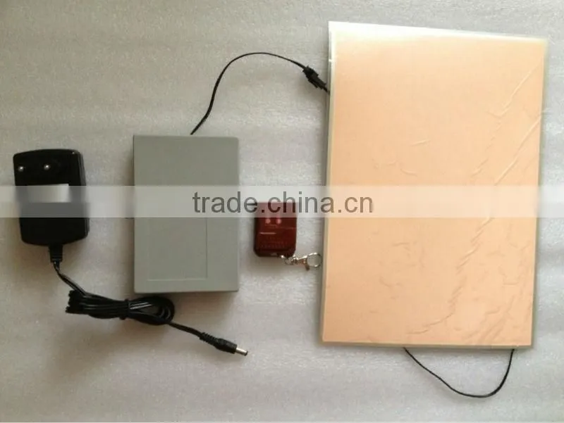 EL panel/EL backlight panel with remote controller, with 4 functions