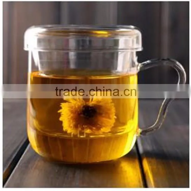 All kinds of tea pot Mouth-blowing heat resistant borosilicate glass tea pot with handle and filter