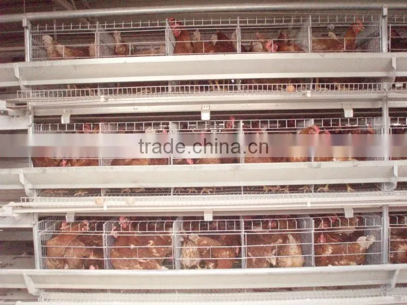 H-type Multi - tier Hot Galvanized Chicken Coop Device