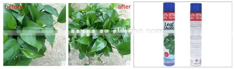leaf shine spray