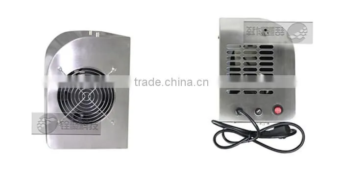 wall mounted ozone air purifier, 3g 5g 10g ozone sterilizer