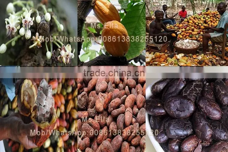 Automatic Roasted Cacao Nib Peeler Roasted Coffee husk Peeler Machine