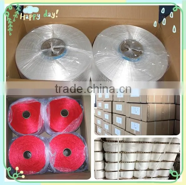 Multifilament Polyester High Tenacity Yarn for Fishing Twine