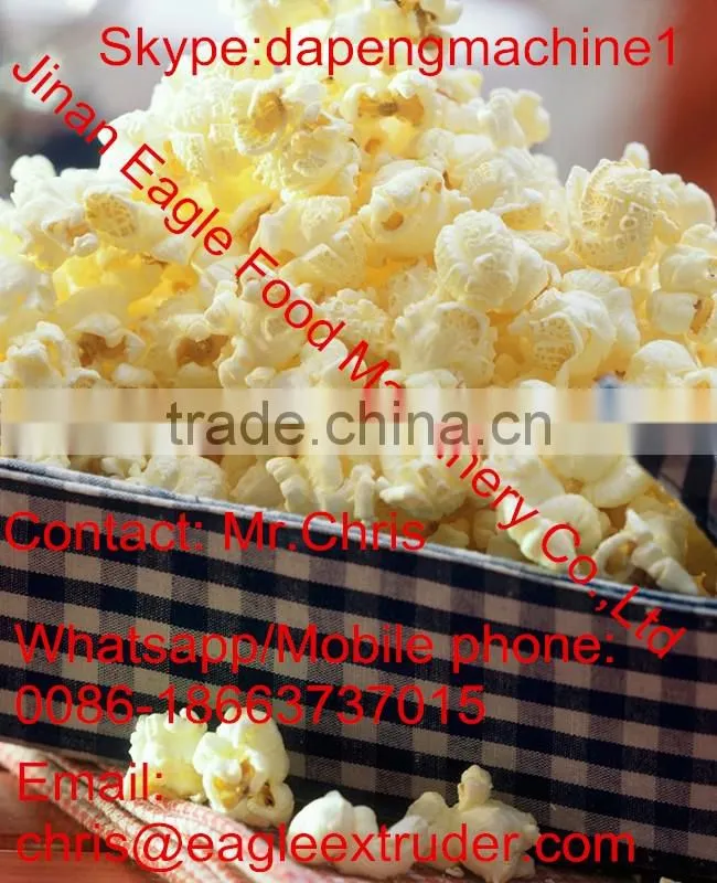 Kurkure Snacks Food Extruder Machines Plant
