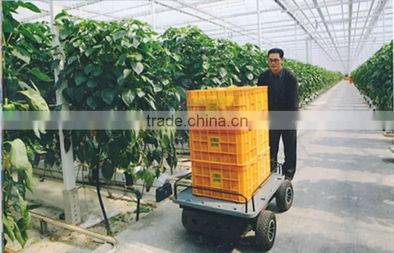 SUNEV ELECTRIC CARRIER
